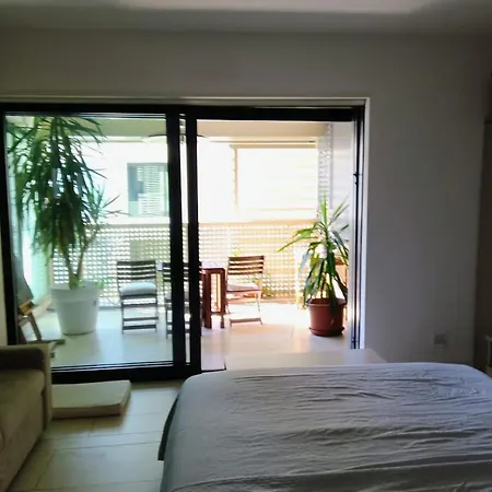 Big Modern Open Space With Terrace *