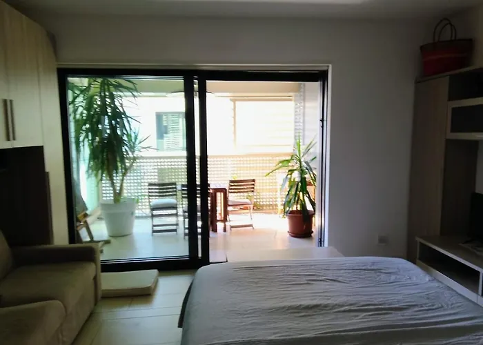 Big Modern Open Space With Terrace *