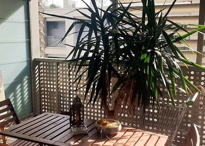 Big Modern Open Space With Terrace Rom