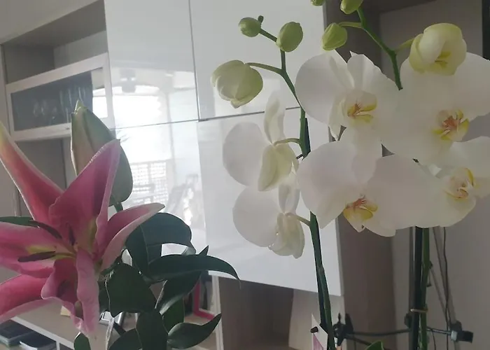 Big Modern Open Space With Terrace * Rom